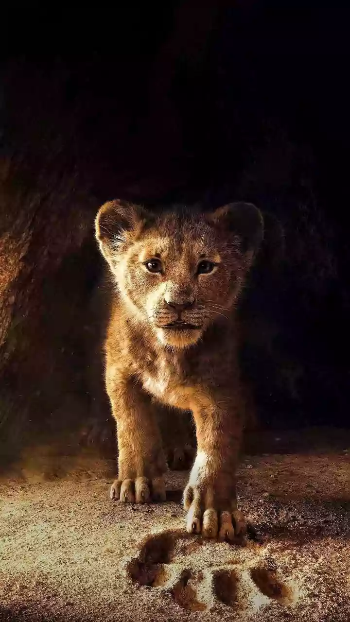 8 Pillars: Mental Fortitude for a Stronger You