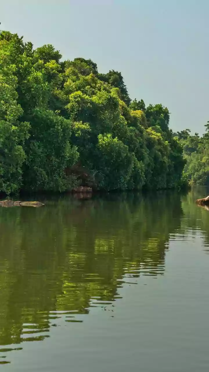 Top Maoist leader Ganesh Uike, who carried reward of Rs 1.1 crore, killed in Kandhamal encounter in Odisha