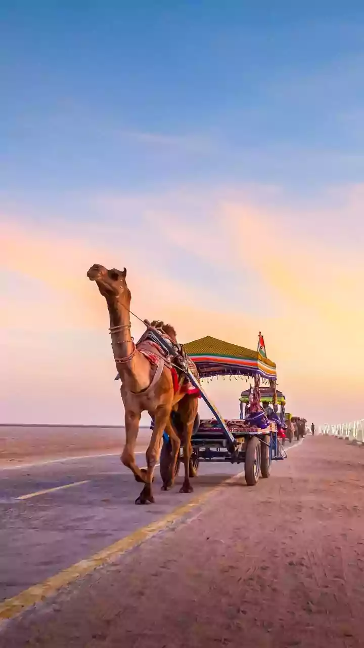 Kutch's White Desert Beckons: A Thrilling Motorcycle Adventure at the Rann Utsav