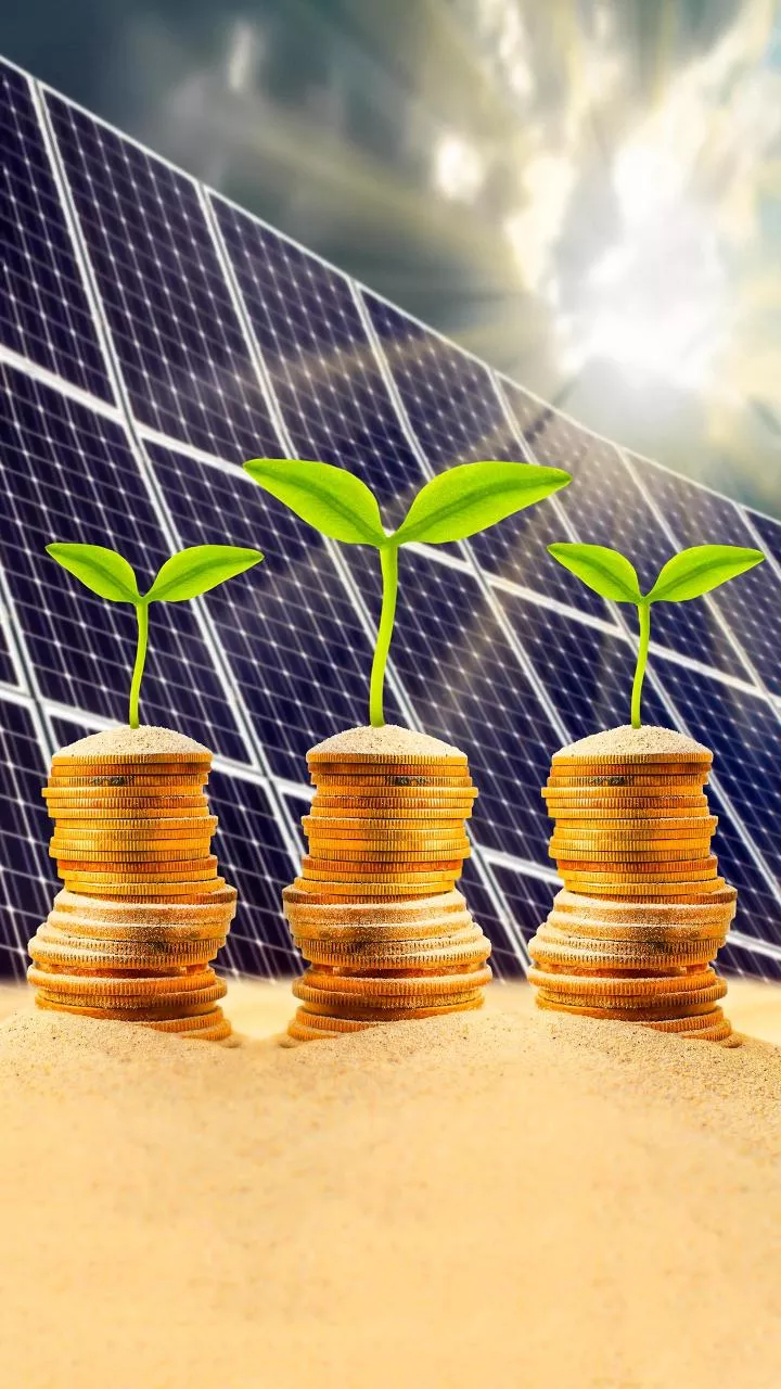 BlackRock commits up to Rs 3,000 cr in Aditya Birla Group's renewables arm