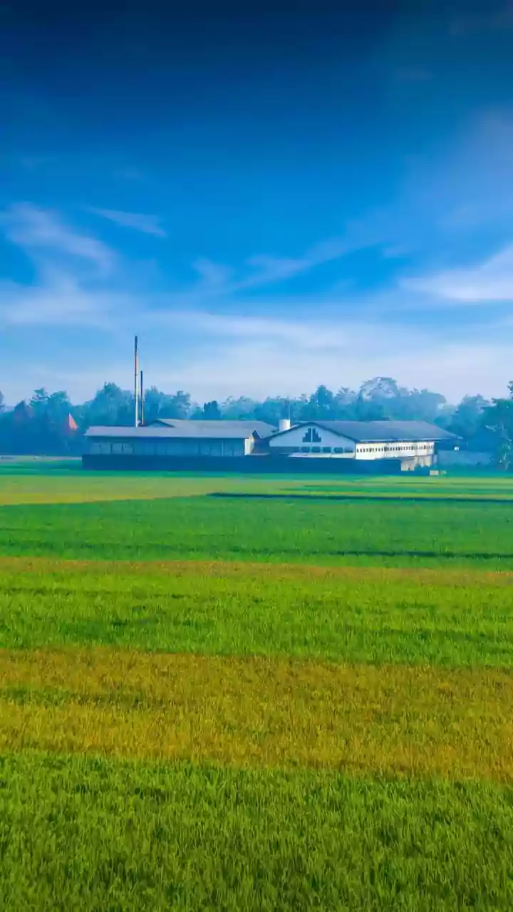 New Study Tracks How Agricultural Smoke Adds To Post-Monsoon Pollution