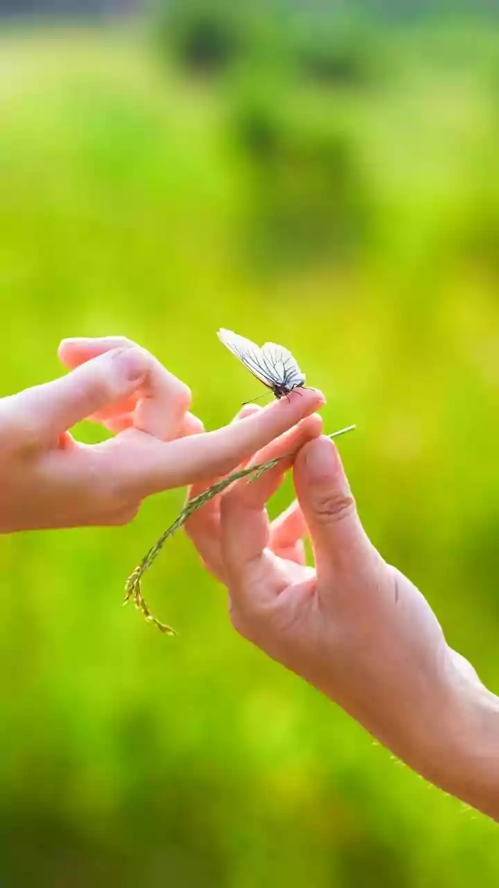 Mastering Difficult People: A Guide for Harmonious Interactions