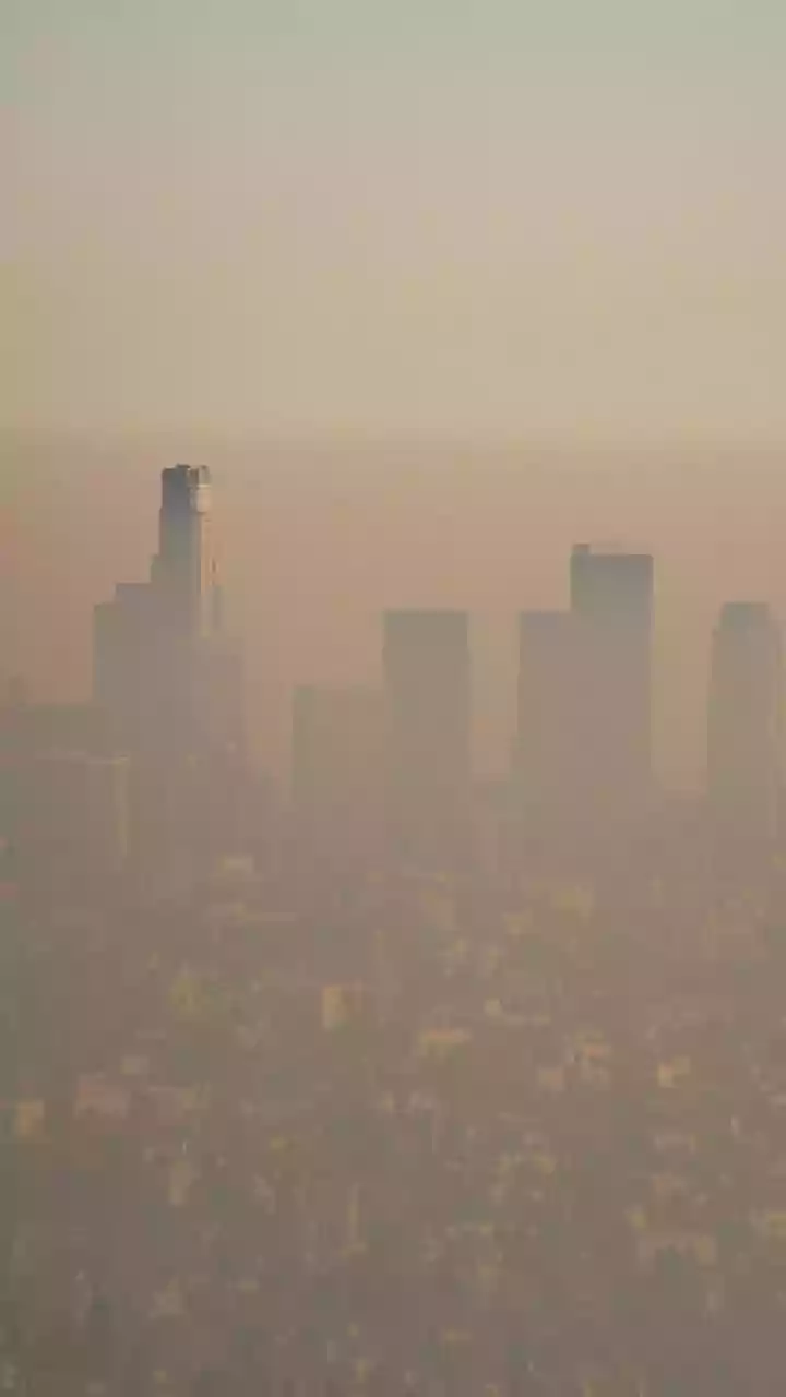 Toxic Smog Blankets Delhi, AQI Still ‘Very Poor’ At 360 As Visibility Drops Across NCR