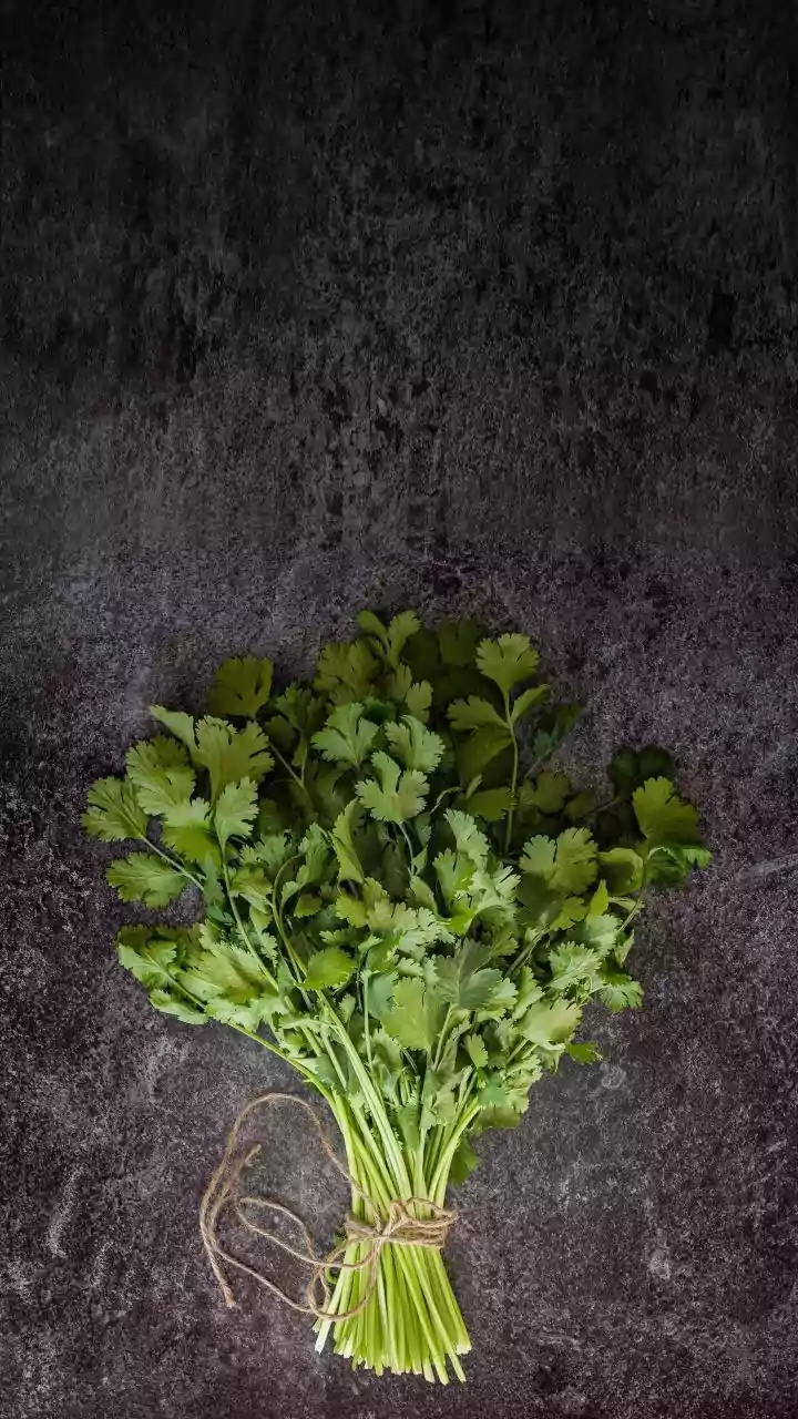 Coriander futures rise nearly 2 pc on higher demand