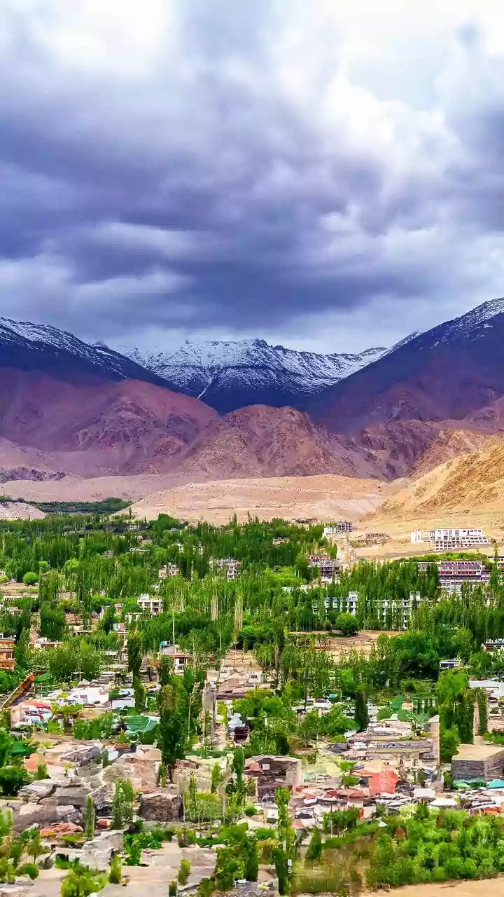 Leh Apex Body releases negotiation files to set record straight