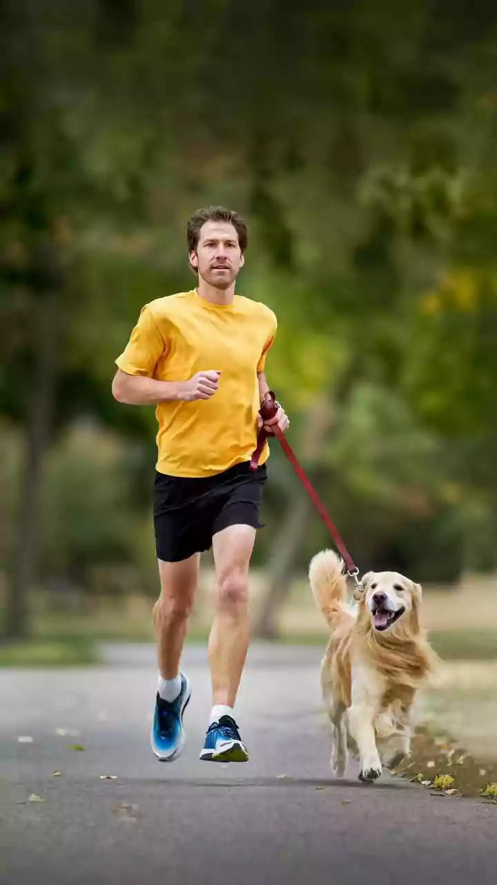 Why Mainstream Pet Wellness Movement Reflects Human Health Optimization Trends