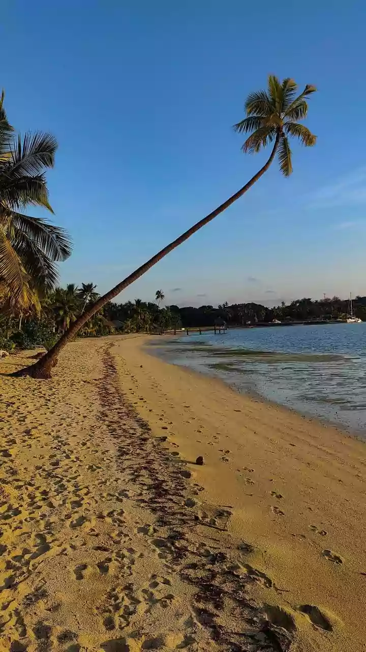 Digital Nomad Hubs In Palolem Offer Discounted Passes To Remote Workers