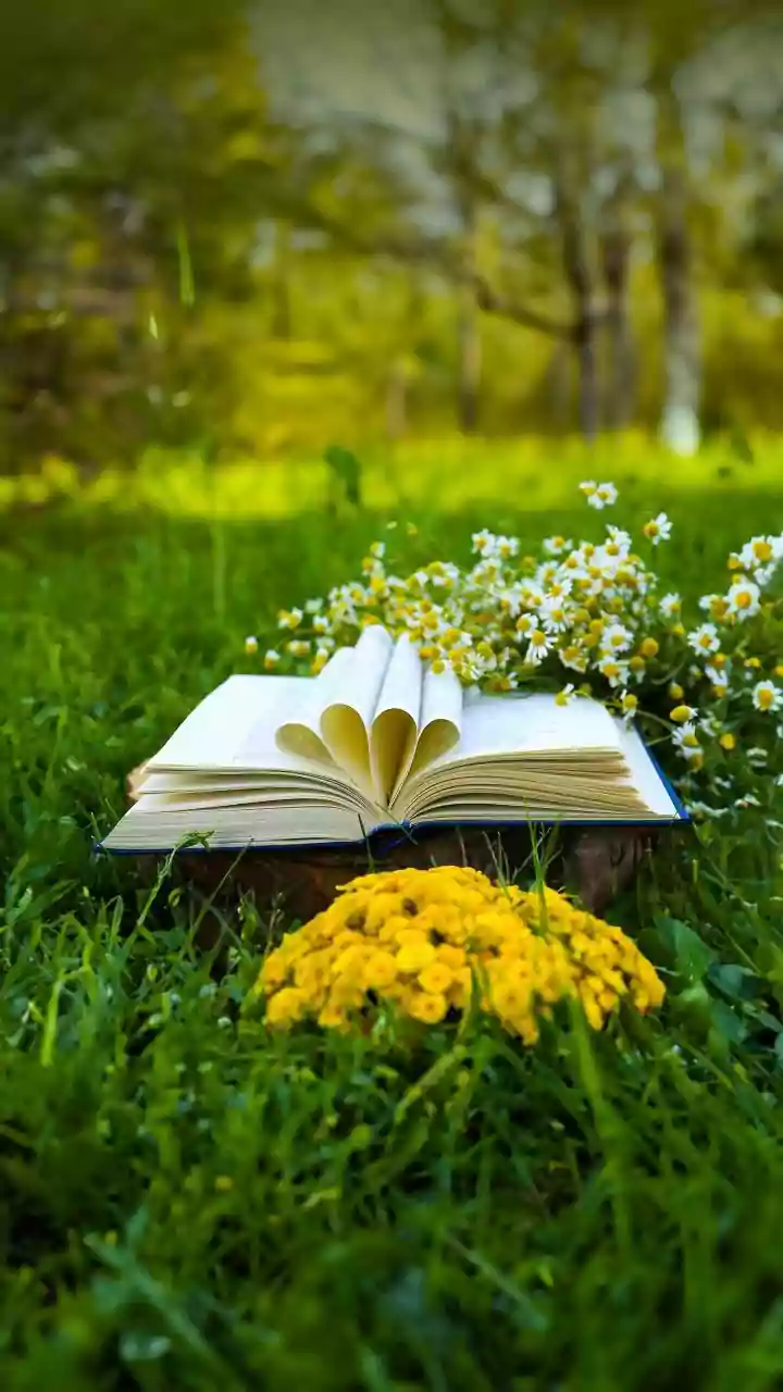 7 dedicatórias que transformam qualquer livro em presente inesquecível
