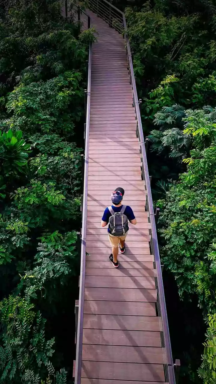 Caminhar para trás faz bem? Conheça os benefícios dessa prática que ganhou destaque entre especialistas