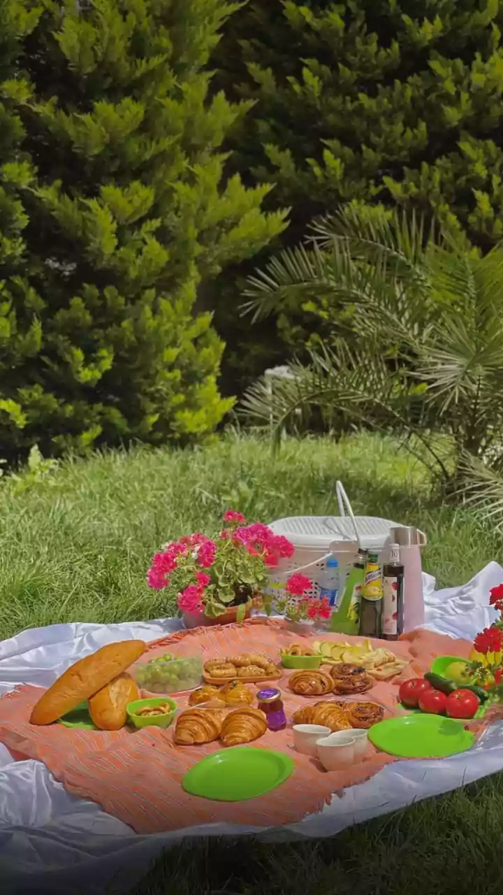 Outdoor Tea Parties Need Thoughtful Decor, Food and Backup Plans while Shading Guests Properly