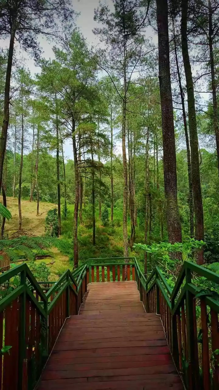 Uttar Pradesh: Lucknow's Kukrail Forest To Get Major Eco-Tourism Boost Under CM Yogi Adityanath's Vision