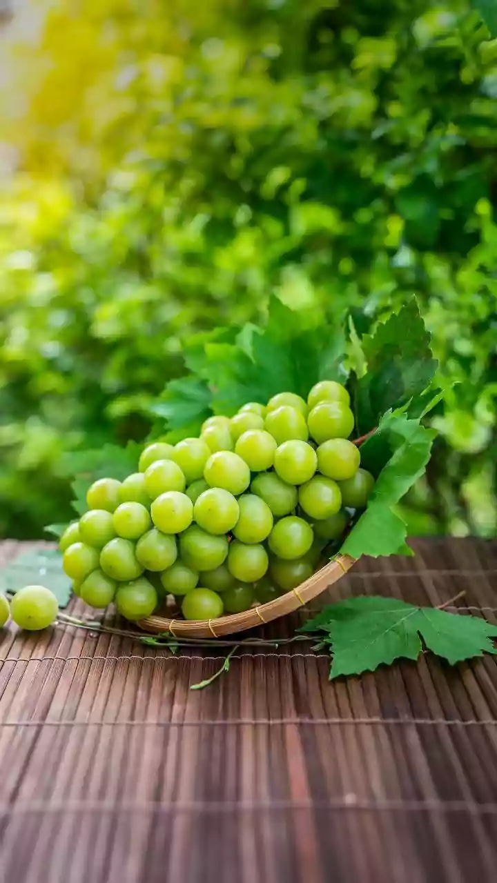 Nashik Grape Farmers Use Computer Vision Drones To Prevent Downy Mildew Outbreaks