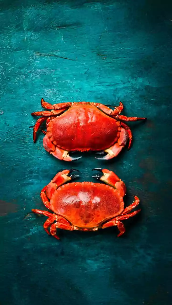 Porque é que os caranguejos andam de lado? A ciência tem a resposta