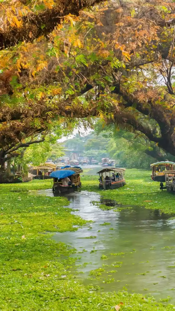 Kerala Lottery Result Today Live: Karunya Plus KN-602 Winning Numbers For December 18, 2025