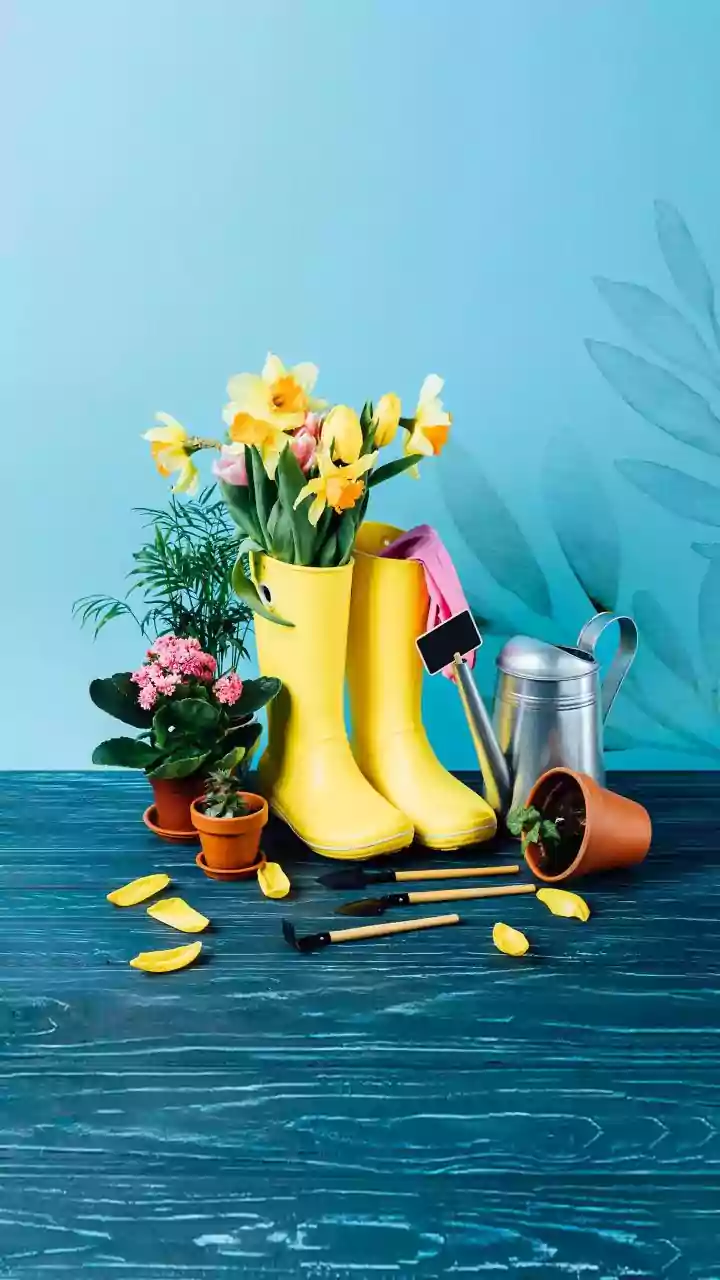 Spring Refresh: Top Deals, Energy Boosts, and Cultural Escapes