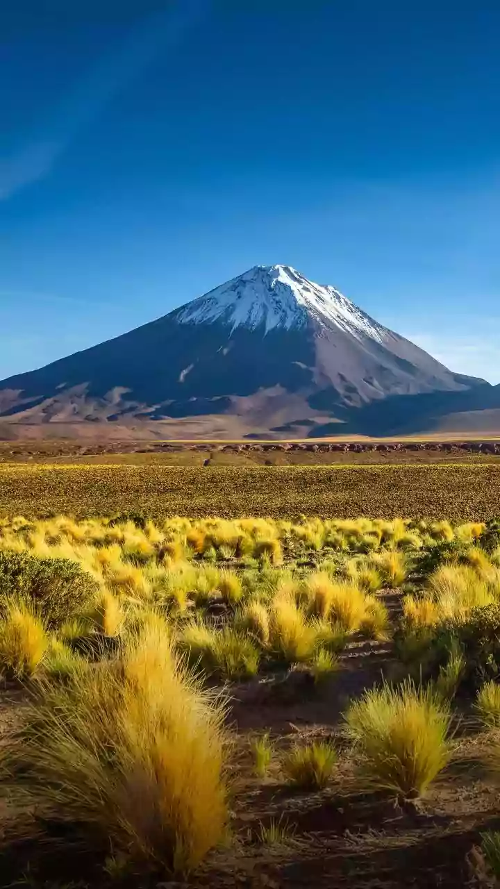 A 454-Million-Year-Old Volcano Beneath Eastern England: What To Know