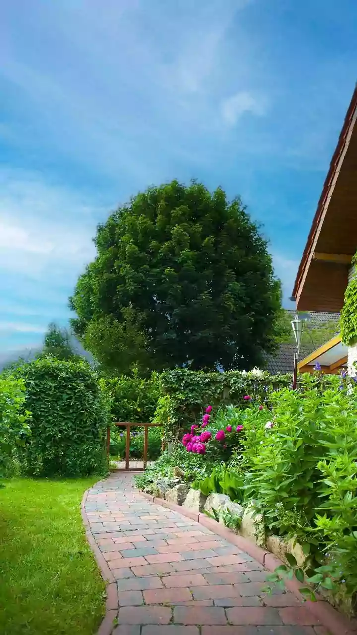 July Gardening Needs A Mosquito-Safe Checklist