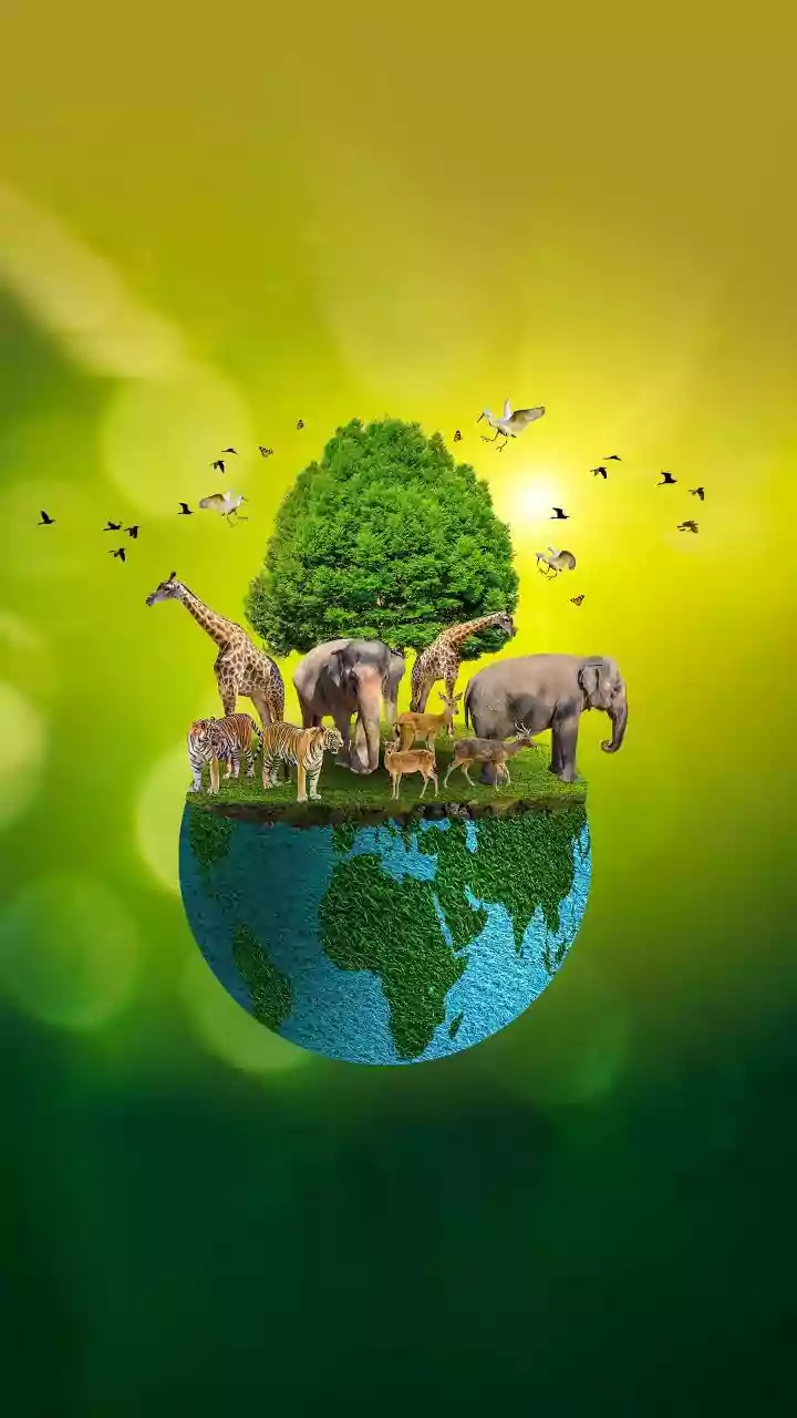 Biodiversity Spiked From Few Species Groups