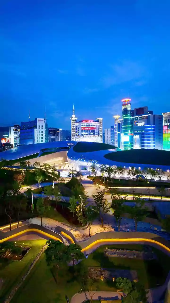 Seoul's Reading Spaces Show Why Comfort Matters in Civic Design