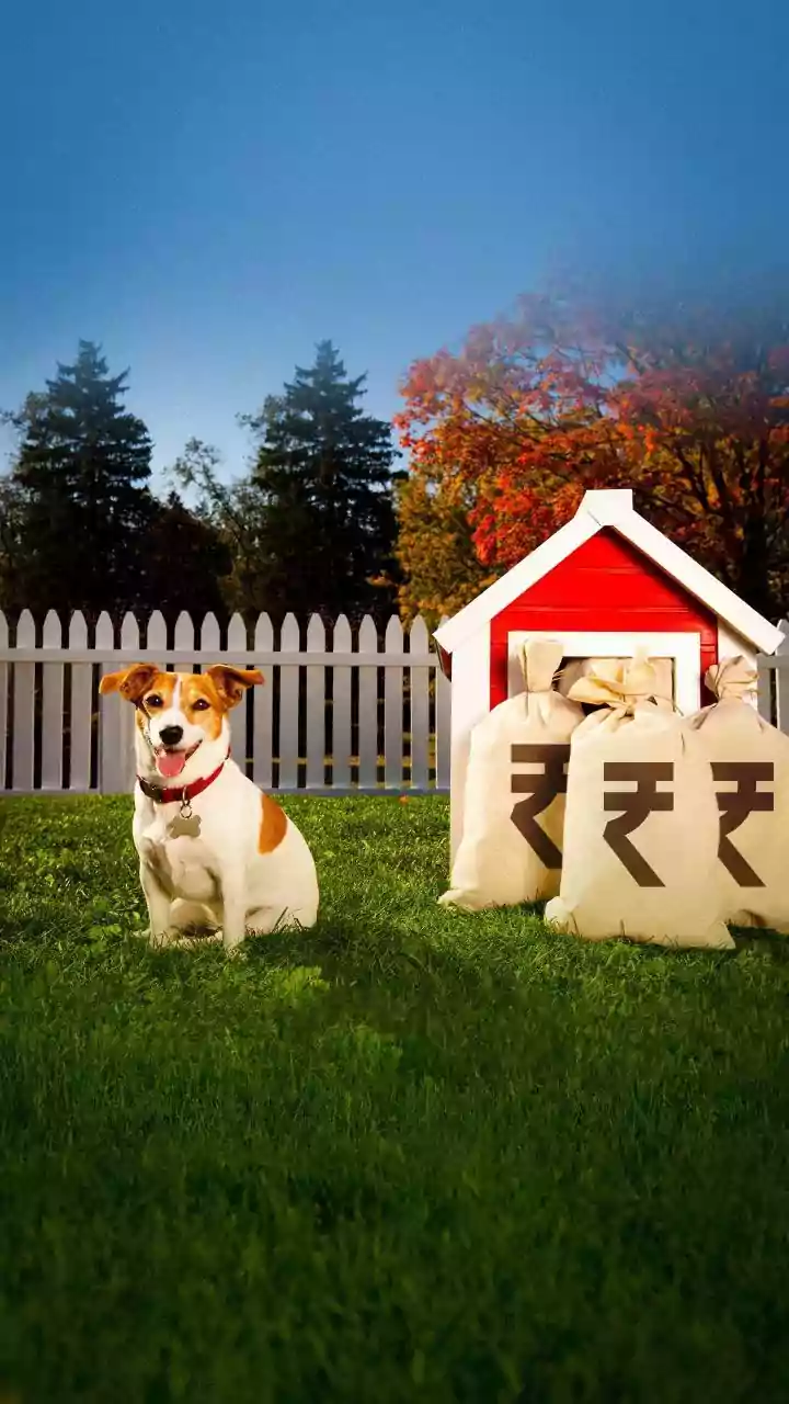 How rising vet costs are making pet insurance essential in India