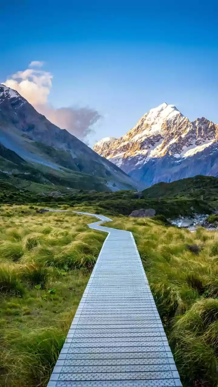Conquer New Zealand's Great Walks: Your Ultimate Booking Guide