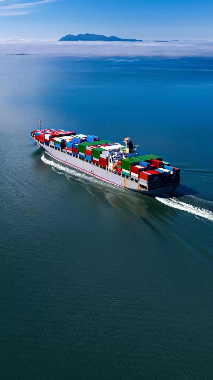 Is India Interested in Northern Sea Route That Moscow Seeks To Develop Between Europe, Asia? MEA Responds