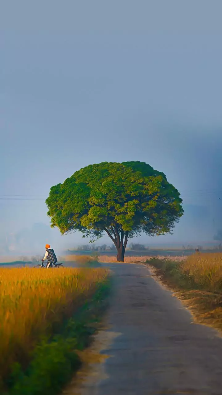 Govt under fire over new rural employment bill, opposition asks why Mahatma Gandhi's name dropped