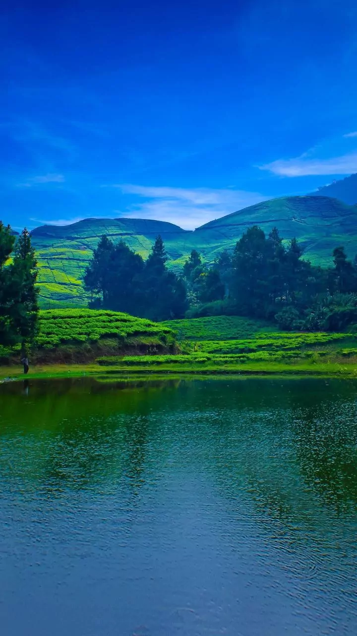 Why Everyone Wants To Visit Western Ghats This Weekend