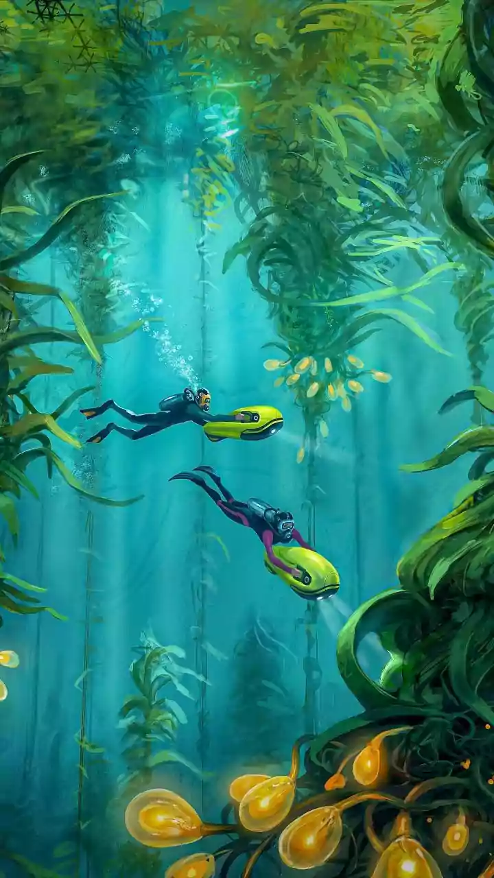 Kayakers, here's your next epic experience