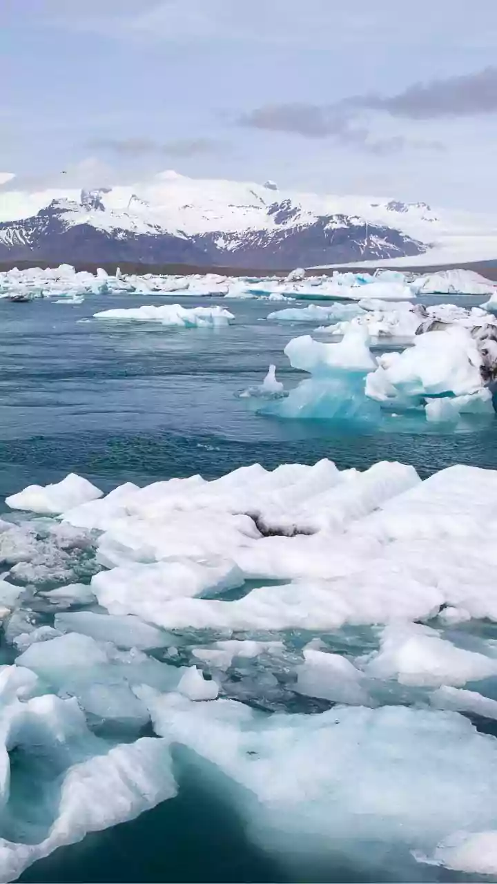 Trump's Greenland Gambit: Tariffs & International Fallout