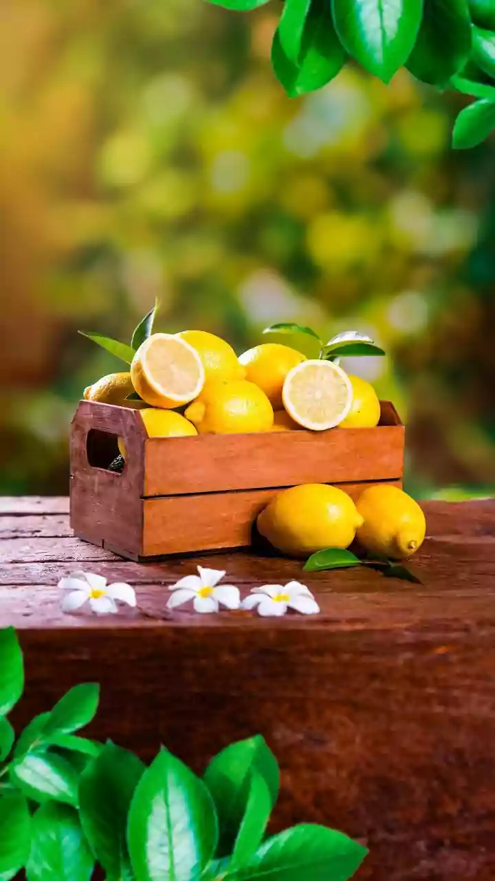 The Role Of Soil In Growing Lemons At Home