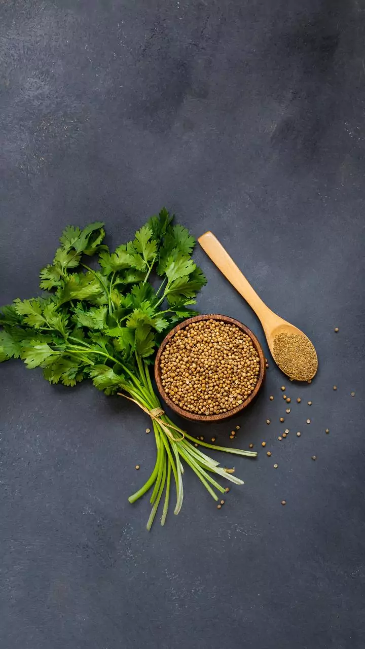 Cold air dulls coriander; storage tweak keeps aroma alive