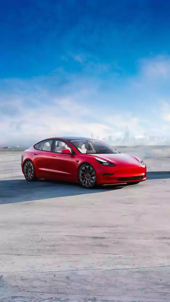 The Gurugram Video Offers a Glimpse of Tesla's Perception Challenge