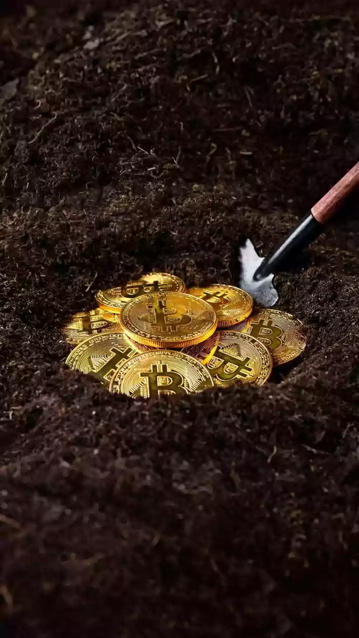 WazirX to resume India operations from tomorrow; free trading, Bitgo security | Details