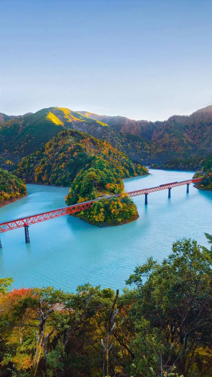 A November Japan Trip Will Need More Upfront Cash for Tax-Free Shopping