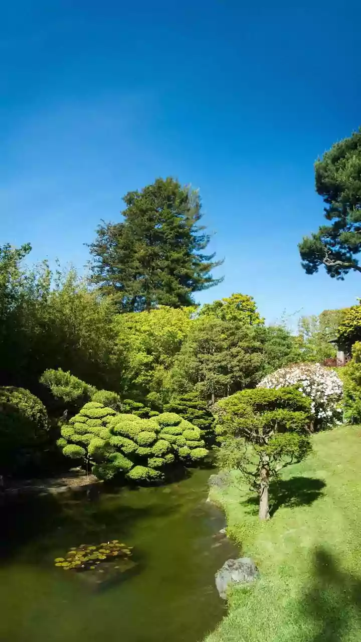 Start August Plant Pruning with Plant Type after the August Pruning Window