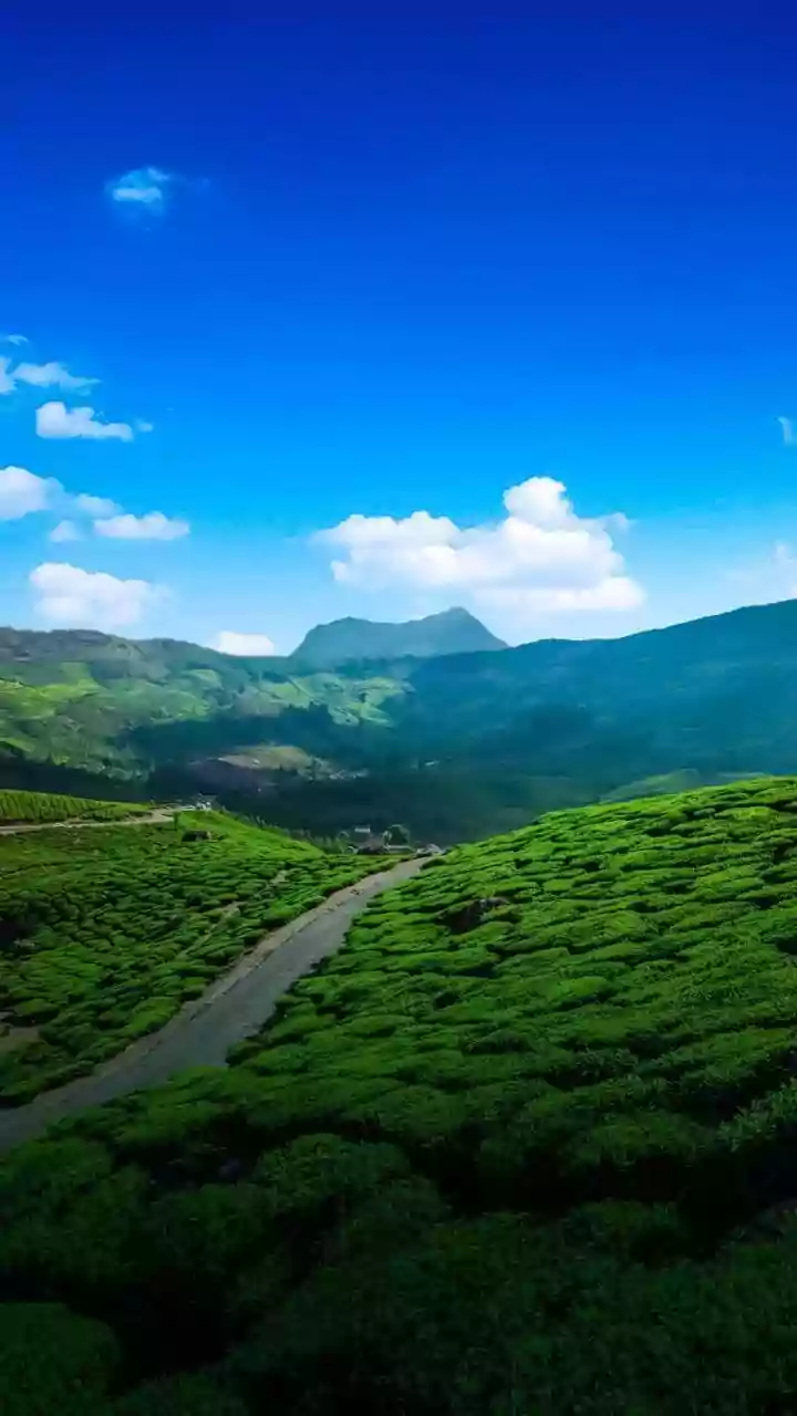 Kodaikanal, Ooty and Valparai Lead Tamil Nadu's Monsoon Travel List