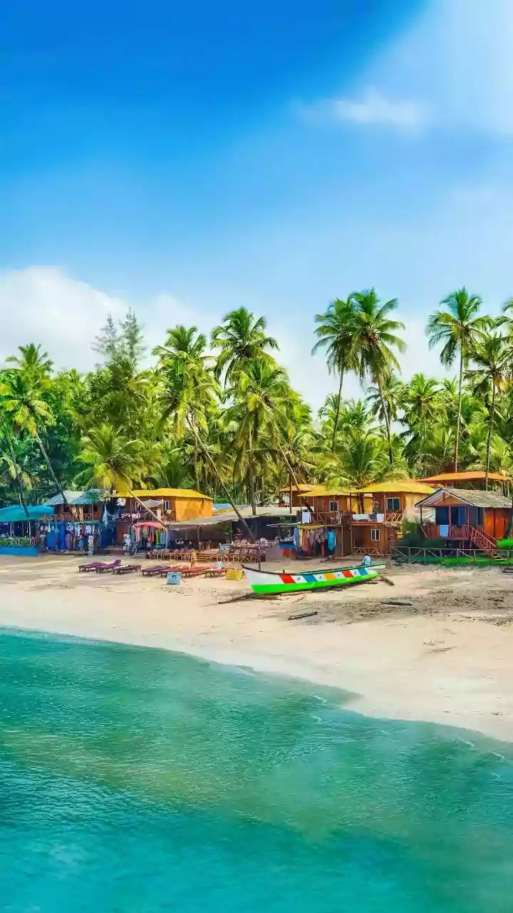 Goa fire: Court grants bail to 2 nightclub managers