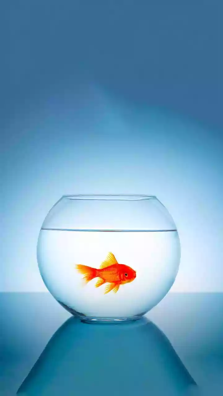 The Omega-3 Deficiency: Understanding the Gap & Impact