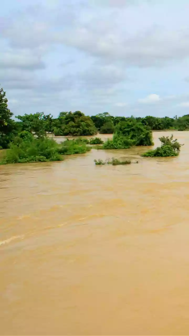 Punjab floods devastate kharif crops, threaten rabi harvest