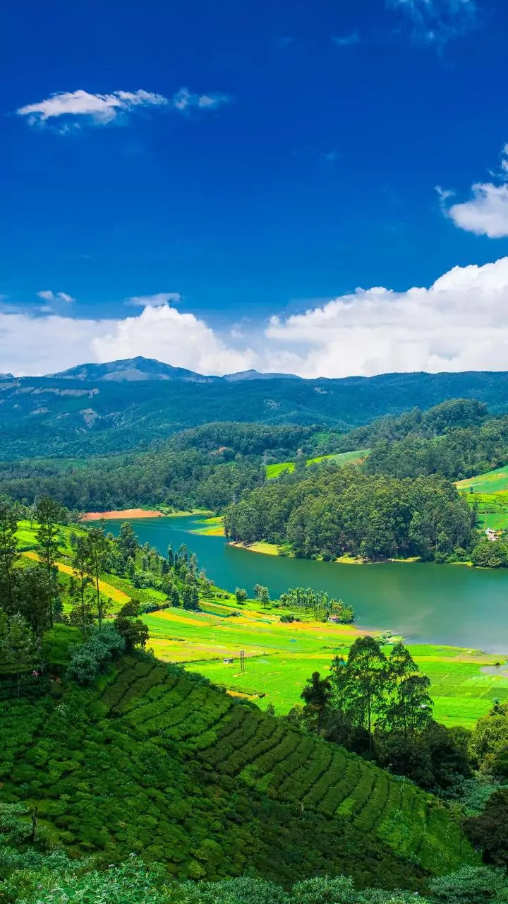 From Tech Hub To Travel Hotspot: Bengaluru Tops India’s Most Visited City In 2025