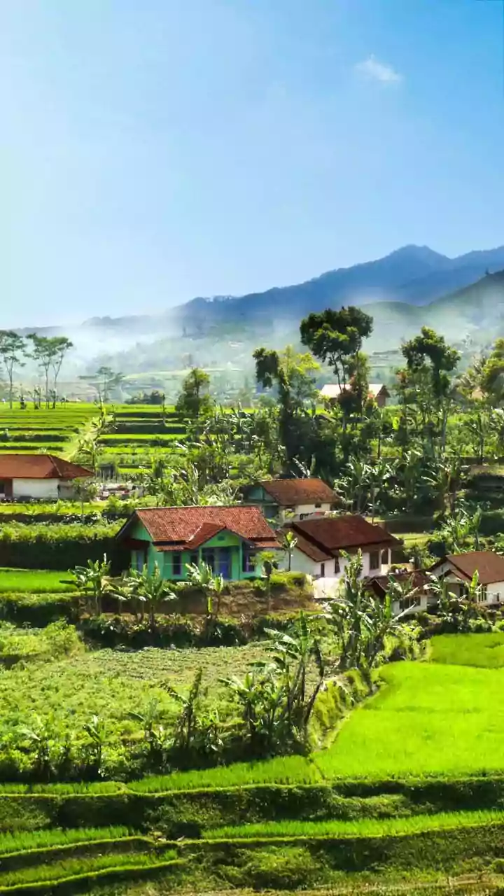 Vegetarian Havens: Exploring Countries with the Most Veggie-Friendly Diets