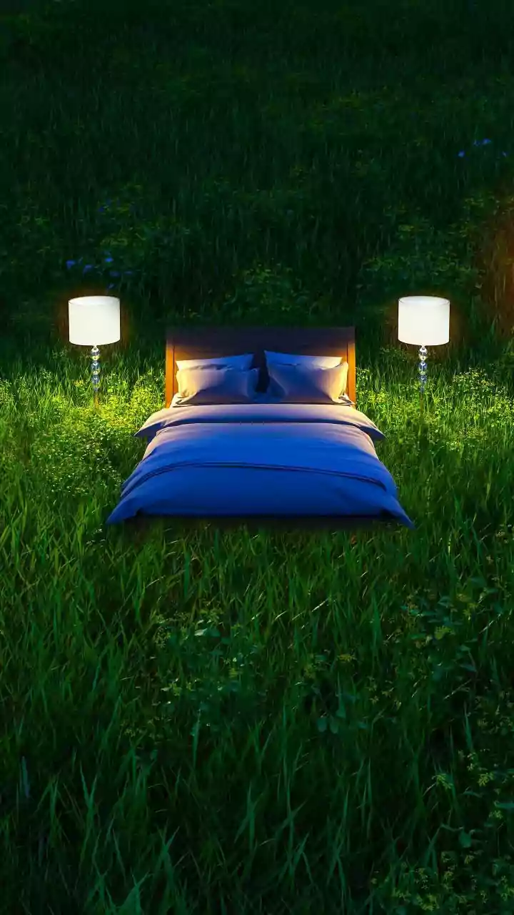 How Morning Sunlight Natural Cues And Dark Sleep Spaces Tackle Erratic Sleep Patterns