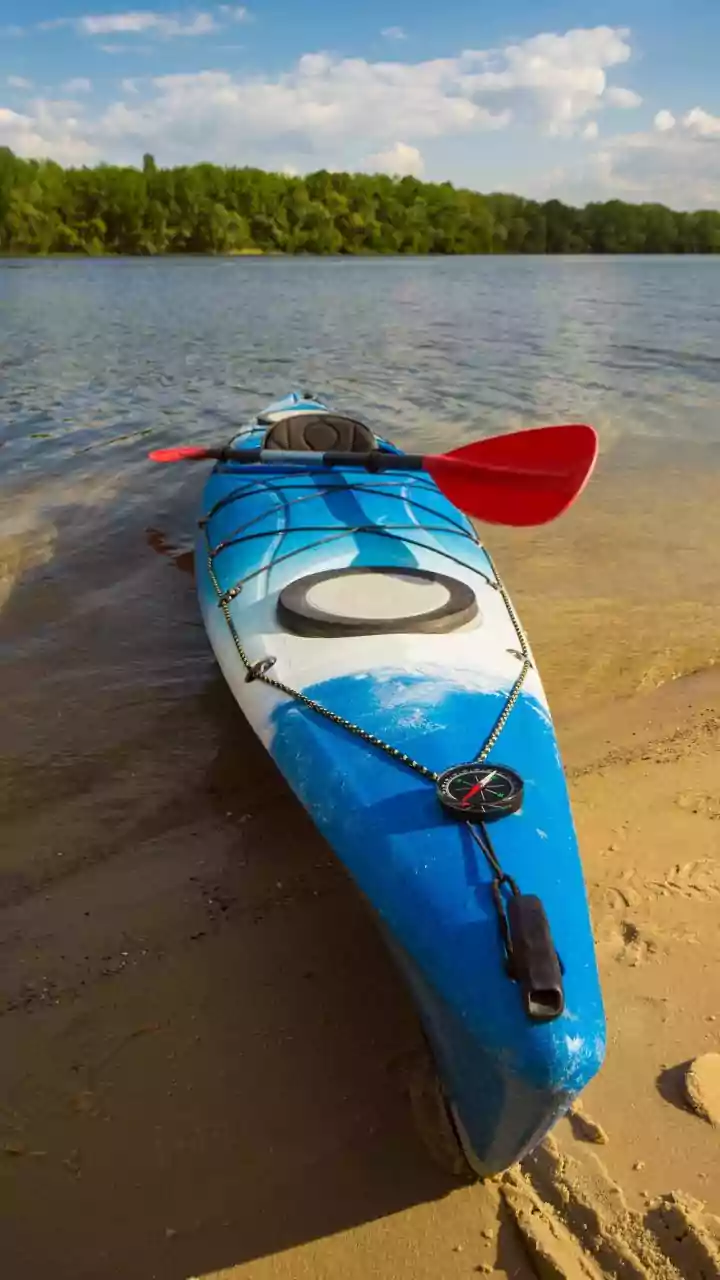 Why Eco-Friendly Kayaking Trips Along Konkan Backwaters Help Preserve Delicate Estuarine Habitats For Wildlife