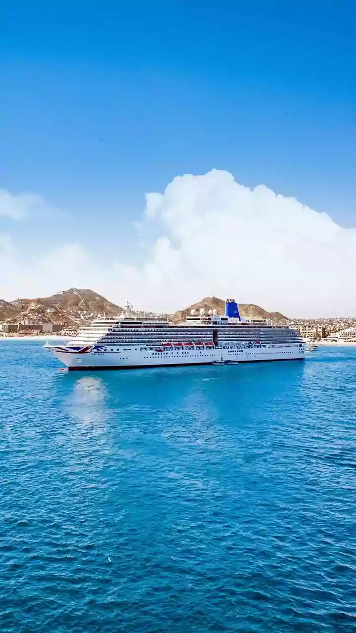 Understanding Hantavirus: Details on the Recent Cruise Ship Outbreak