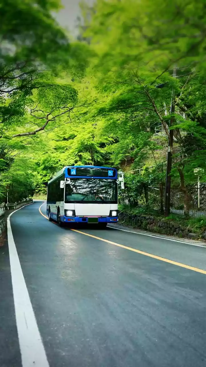 Nine killed, 23 injured as bus falls off ghat road in Andhra Pradesh