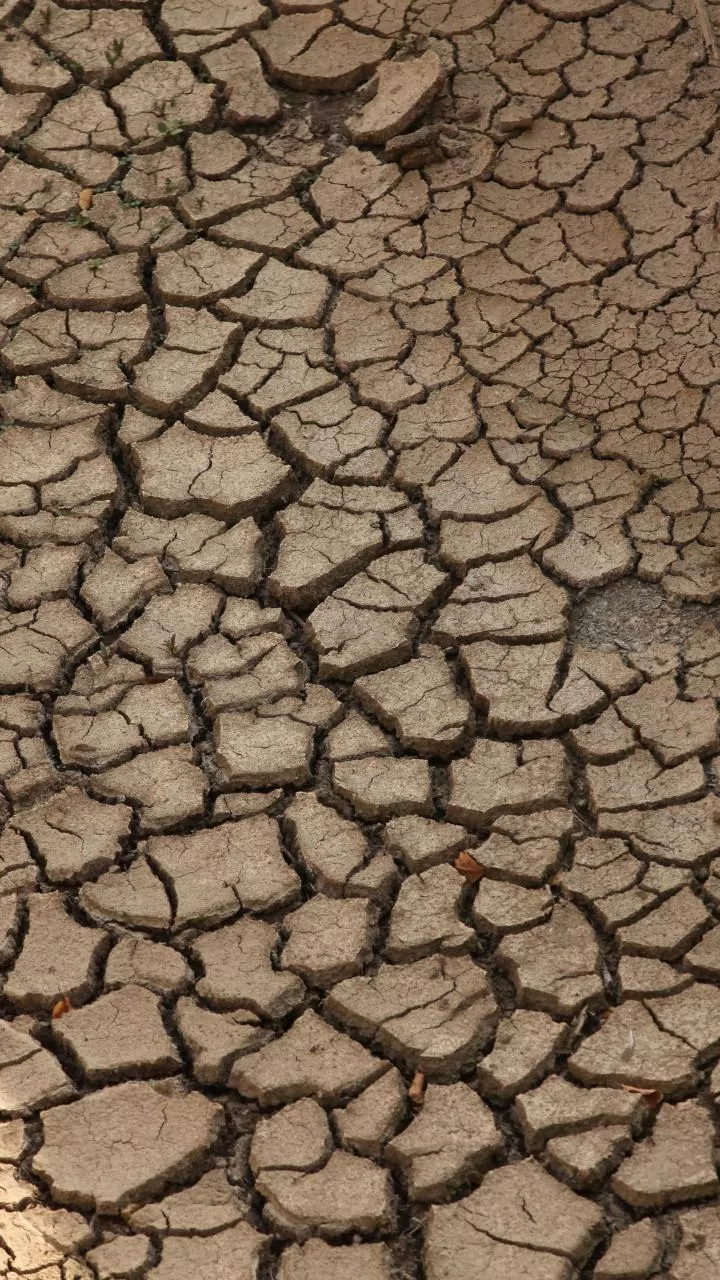 Telangana Plans Emergency Measures Amid Drought Concerns