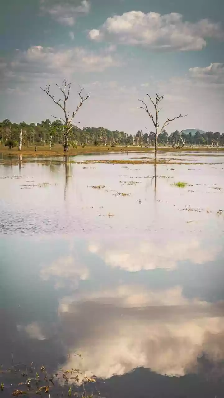 Flood Death Toll in Assam Reaches 100 as Thousands Displaced