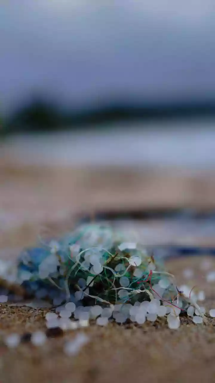 Health impacts due to plastics worldwide may double by 2040: Lancet study