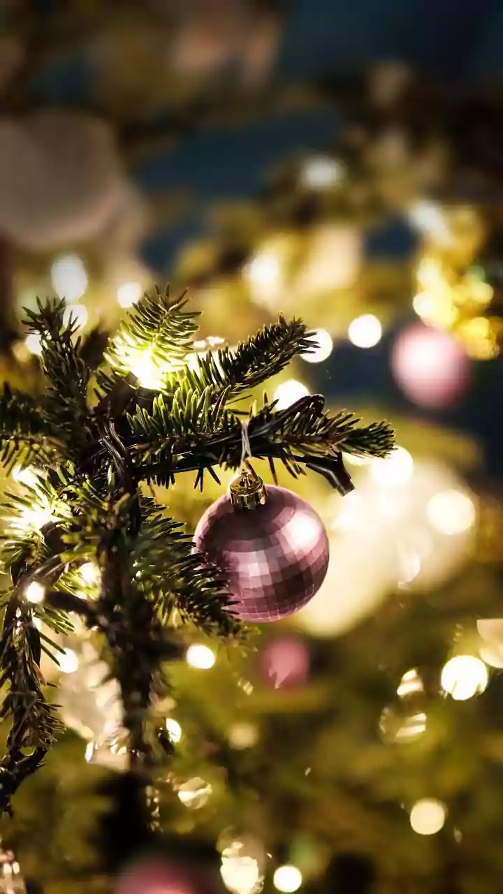 Christmas 2025 in Vizag: Parties, brunches and dining spots everyone’s booking